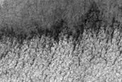 Landforms above Subsurface Radar Observations of South Polar Cap