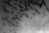 Dune Monitoring in Crater