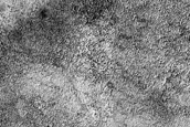 Terrain West of Roseau Crater