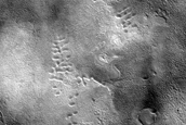 Dune Monitoring