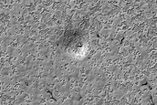 South Polar Monitoring
