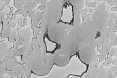 South Polar Patchy Carbon Dioxide Ice