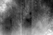 Dune Monitoring in Gamboa Crater