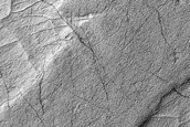 Ridge Network in Hellas Planitia