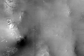 Terrain Sample