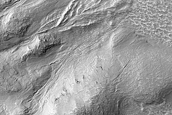 Gully Monitoring