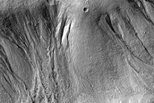 Gully Monitoring