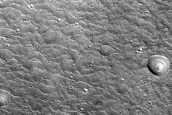 Ridge Network in Northern Mid-Latitudes