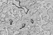 South Polar Residual Cap