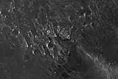 Terrain Sample