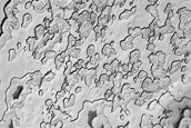 South Polar Residual Cap