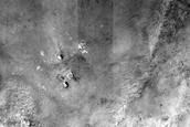 Monitoring Dust Devil Tracks