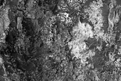Meridiani Planum