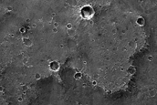 Monitoring Dust Devil Tracks