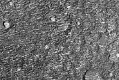 Crater Floor in Terra Cimmeria