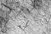 Dark Filamentary Streak Year-Round Monitor Site in Promethei Terra