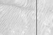 Daedalia Planum