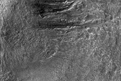 Gullies in Southern Mid-Latitude Crater