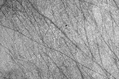 Seasonal Frost Distribution at Site of CTX Image
