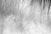 Gullies with Long Channels in Sisyphi Cavi