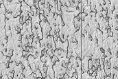 South Polar Residual Cap