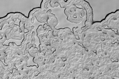 South Polar Residual Cap