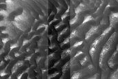 Dune Monitoring in Crater