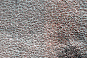 Terrain Sample