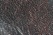 Terrain Sample