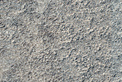 Seasonal Monitoring near Dorsa Argentea
