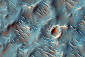 Terrain Sample