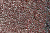 Terrain Sample