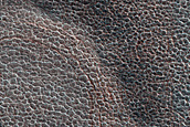 Terrain Sample