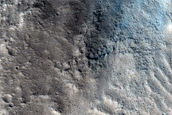 Fresh Impact Crater in Tempe Terra