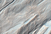 Gully Monitoring