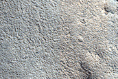 Terrain Sample
