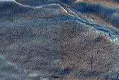 Gully Monitoring