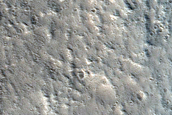 Terrain Sample