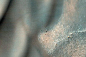 USGS Dune Database 2179-591 Monitoring