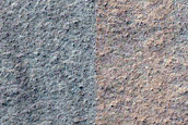 Gully Monitoring