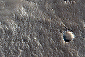 Terrain Sample