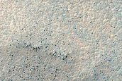 Terrain Sample