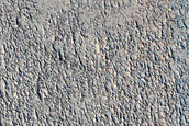 Cratered Cones in Amazonis Planitia