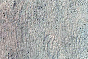 Gully Monitoring