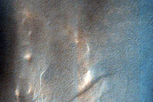 USGS Dune Database Entry Number 2308-69 Monitoring