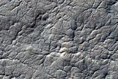 Terrain Sample