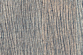 Terrain Sample