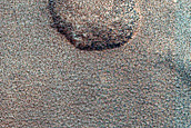 Terrain Sample