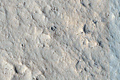 Terrain Sample