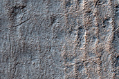 Terrain Sample